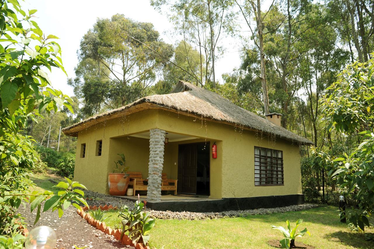 Davinci Gorilla Lodge Kinigi Exteriér fotografie