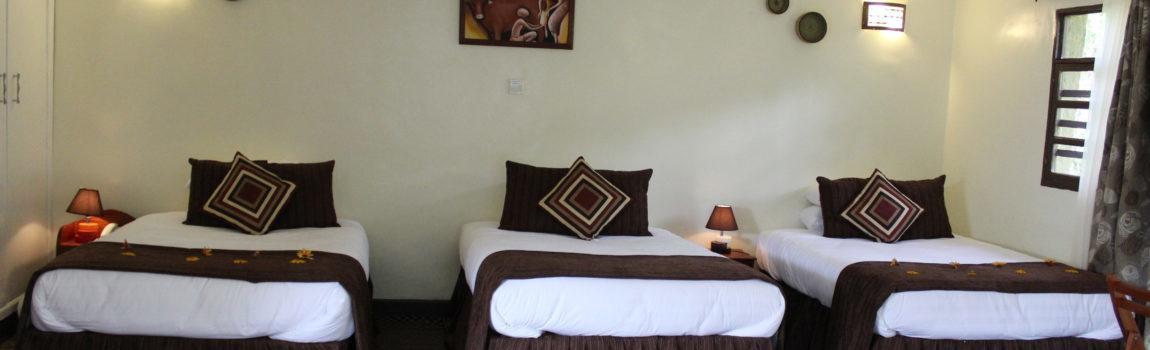 Davinci Gorilla Lodge Kinigi Exteriér fotografie